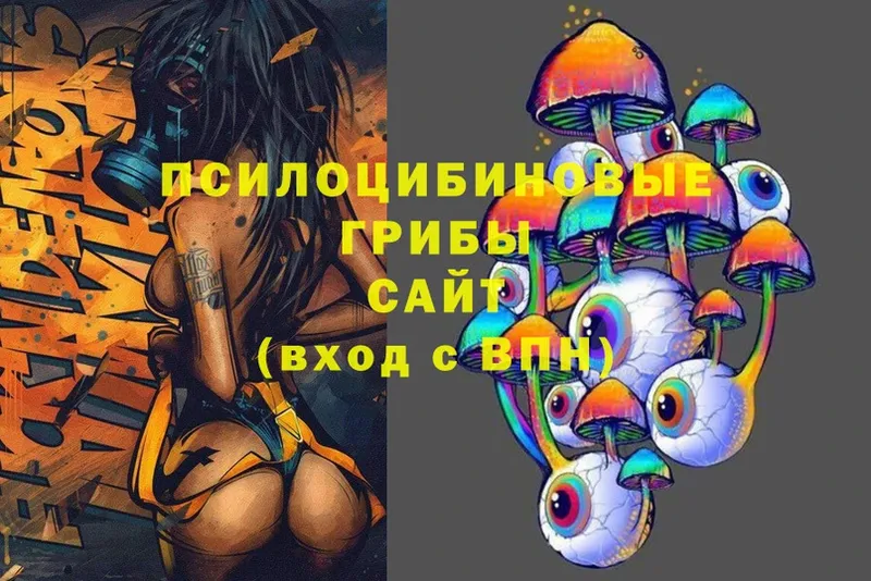 Галлюциногенные грибы MAGIC MUSHROOMS  Боровск 